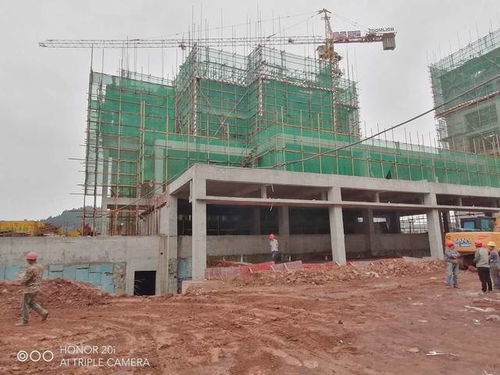 蓬安梧桐大院項目建設工程正緊張有序穩(wěn)步推進